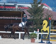 Dahila della Verdina Tosc Tour2013- S5 1788 : Arezzo, Cavalli d'Italia, Dahila della Verdina, Toscana Tour 2013, foto di Stefano Secchi ©